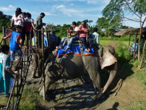 "Final call for Passengers boarding elephant ride number 203, gate B2..."