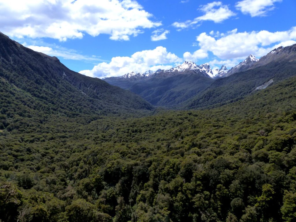 Thei Divide