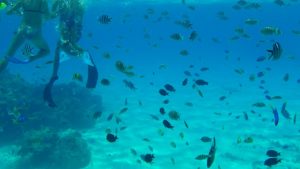 img_20161203_135601